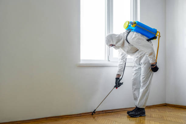 Reliable Alta Sierra, CA Pest Control Solutions