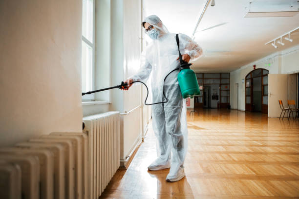 Best Residential Pest Control  in Alta Sierra, CA